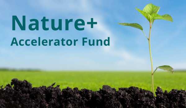 nature accelerator fund email banner